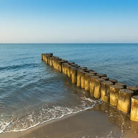 Sole B * ביביונה