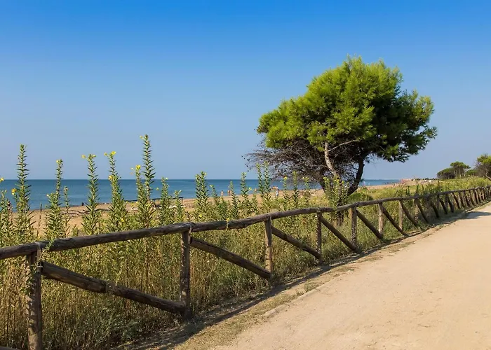 Sole B ビビオーネ