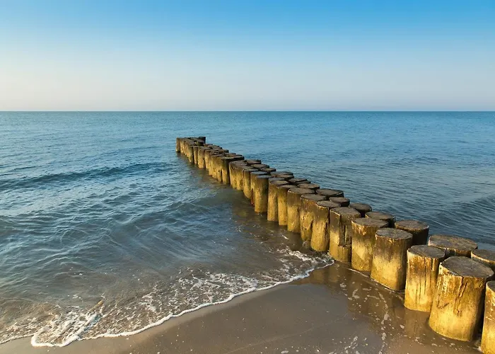 Sole B * ビビオーネ